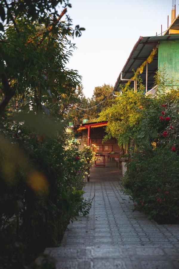 Apartamento Jungal House Almora Exterior foto
